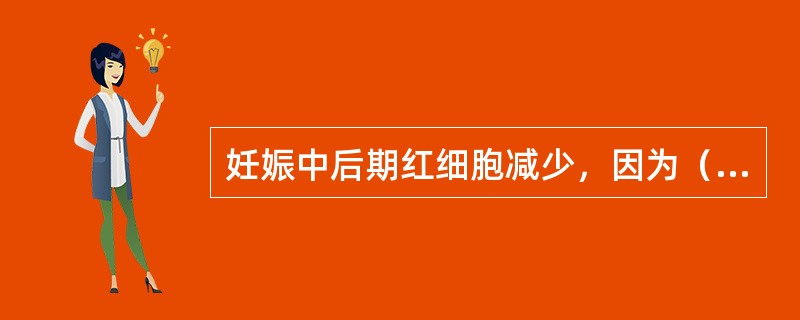 妊娠中后期红细胞减少，因为（）。