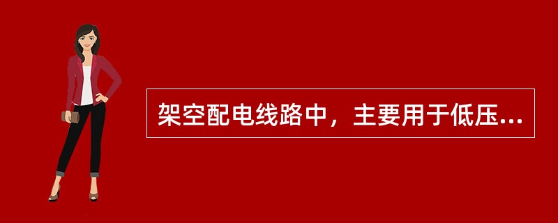 架空配电线路中，主要用于低压线路终端杆和承受较大拉力的耐张杆和转角杆上的绝缘子是