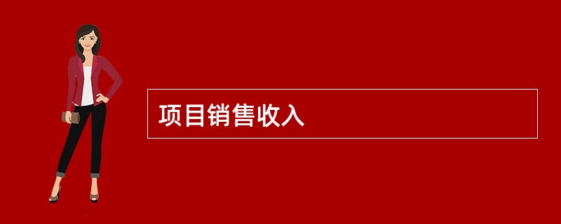 项目销售收入