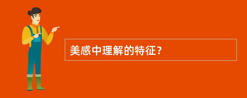 美感中理解的特征？