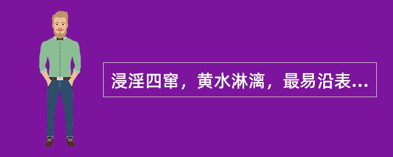 浸淫四窜，黄水淋漓，最易沿表皮蚀烂，越腐越痒者，其病因是（）