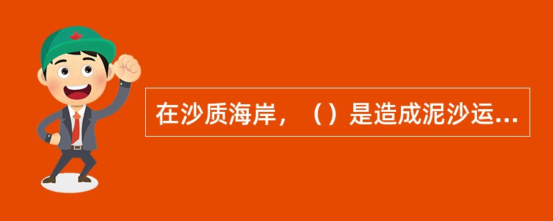 在沙质海岸，（）是造成泥沙运动的主要动力。