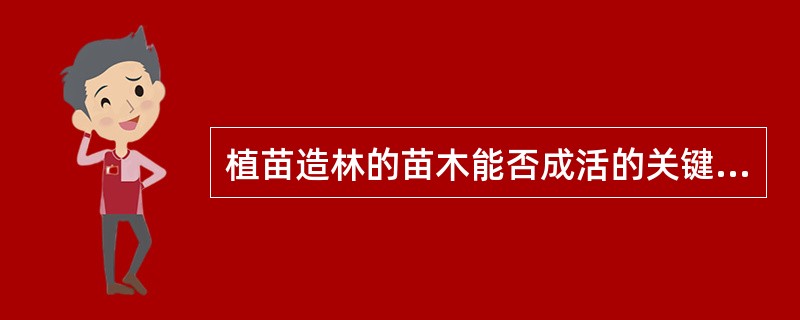 植苗造林的苗木能否成活的关键主要与（）有密切关系。