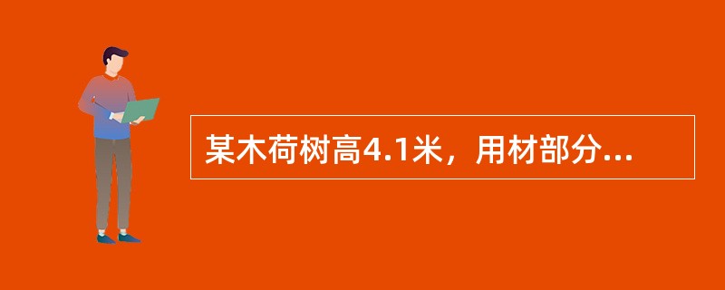 某木荷树高4.1米，用材部分的长度1.5米，按专业调查规定划分为（）。