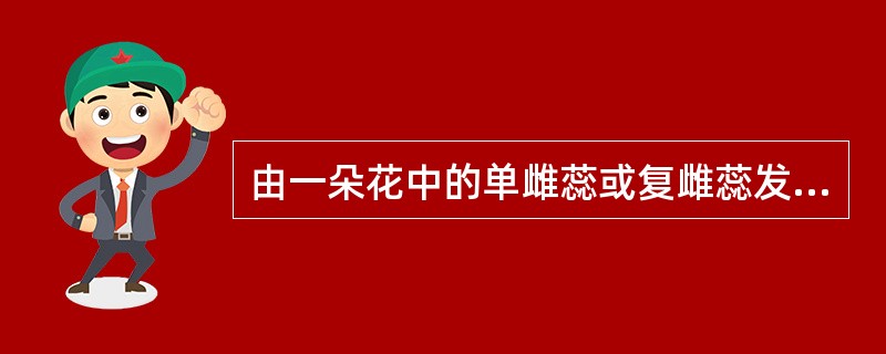 由一朵花中的单雌蕊或复雌蕊发育而成的果实称为（）。