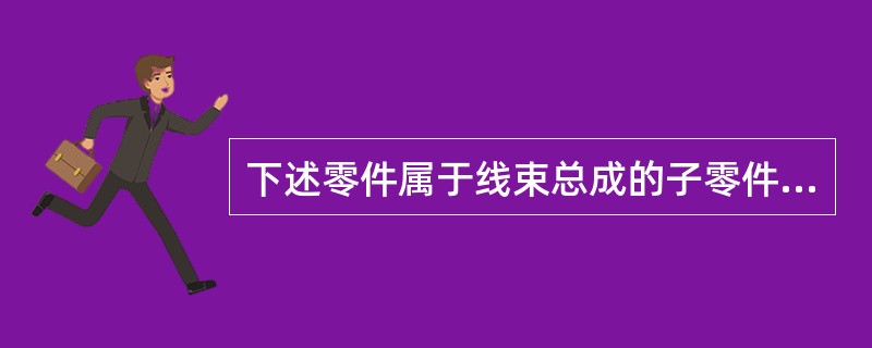 下述零件属于线束总成的子零件的是（）