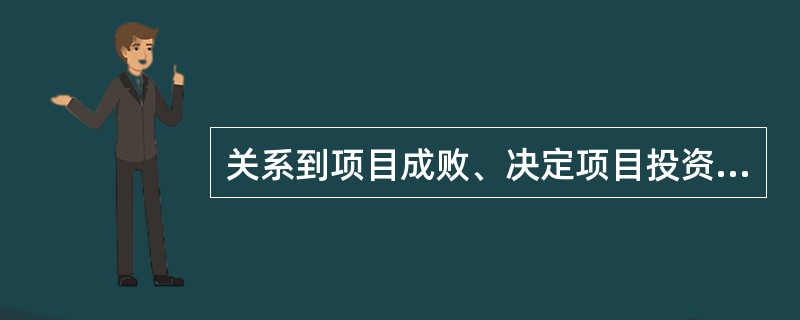 关系到项目成败、决定项目投资水平的最主要因素是（）。