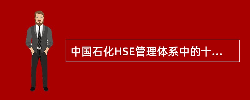 中国石化HSE管理体系中的十大要素是什么？