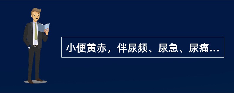 小便黄赤，伴尿频、尿急、尿痛者，为（）