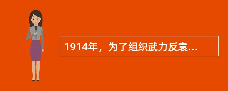 1914年，为了组织武力反袁，孙中山在东京成立了（）