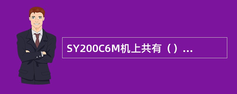 SY200C6M机上共有（）个压力继电器。