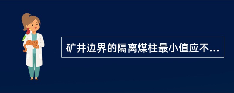 矿井边界的隔离煤柱最小值应不小于（）m。