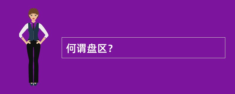 何谓盘区？