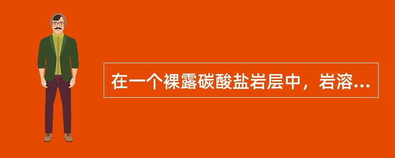 在一个裸露碳酸盐岩层中，岩溶发育与地下水流动是相适应的。地下水的流动系统可以区分