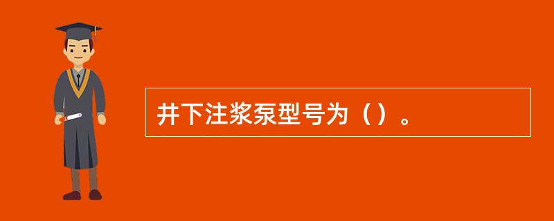 井下注浆泵型号为（）。