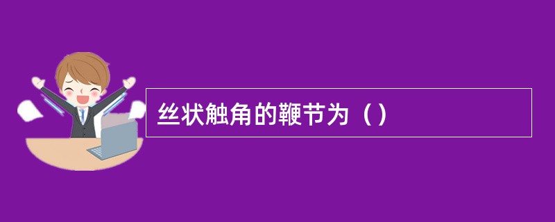 丝状触角的鞭节为（）