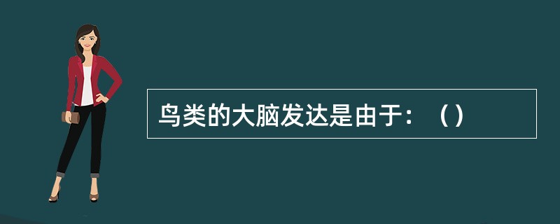 鸟类的大脑发达是由于：（）