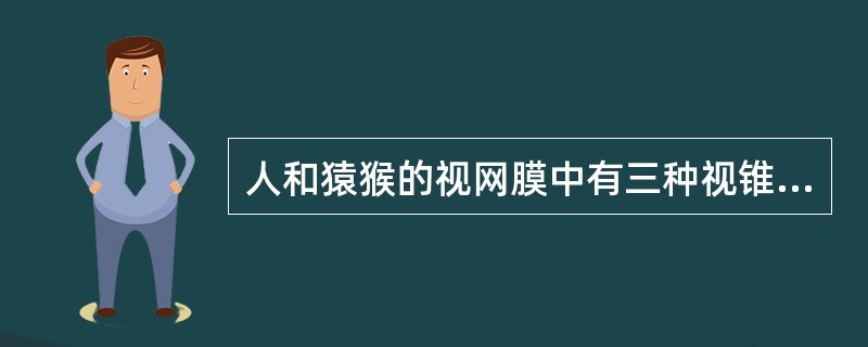 人和猿猴的视网膜中有三种视锥细胞，它们分别是：（），视锥细胞和（）。
