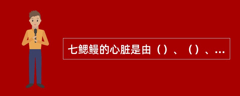 七鳃鳗的心脏是由（）、（）、（）组成的.