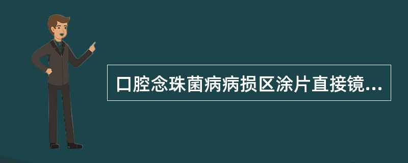 口腔念珠菌病病损区涂片直接镜检可见（）。