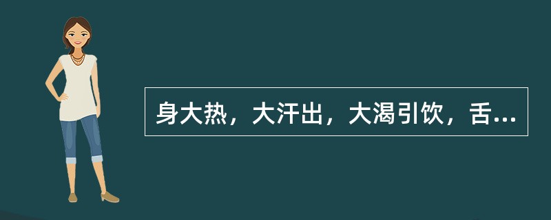 身大热，大汗出，大渴引饮，舌苔黄燥，脉洪，其证候是（）