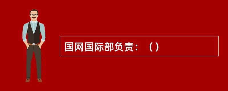 国网国际部负责：（）