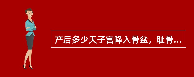 产后多少天子宫降入骨盆，耻骨联合上方扪不到子宫底（）