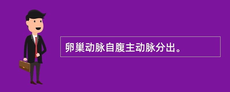 卵巢动脉自腹主动脉分出。