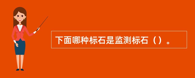 下面哪种标石是监测标石（）。
