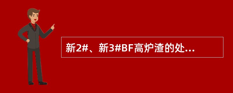 新2#、新3#BF高炉渣的处理工艺采用的是（）。