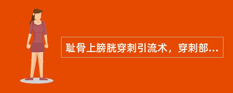 耻骨上膀胱穿刺引流术，穿刺部位应选择在_____。