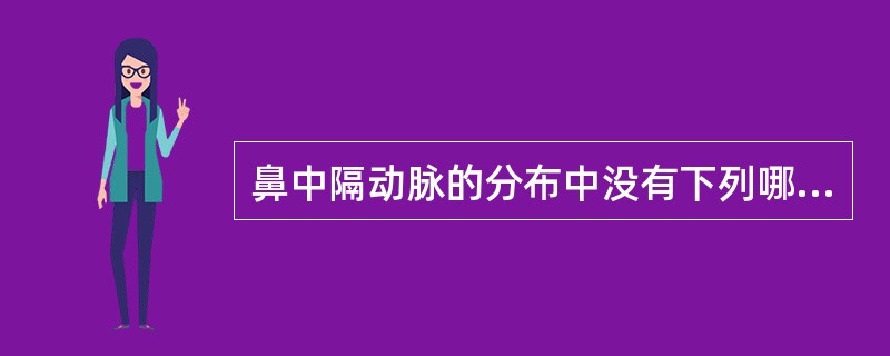 鼻中隔动脉的分布中没有下列哪项（）。