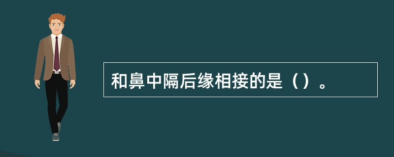 和鼻中隔后缘相接的是（）。