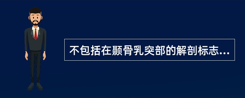 不包括在颞骨乳突部的解剖标志是（）