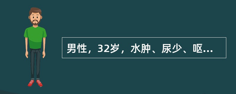 男性，32岁，水肿、尿少、呕吐2个月，血压170/110mmHg，尿蛋白（十++