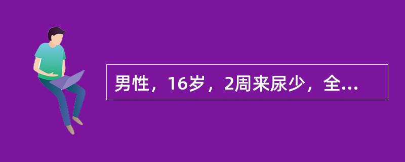 男性，16岁，2周来尿少，全身浮肿明显，尿蛋白定量Sg／d，血浆白蛋白18g／L