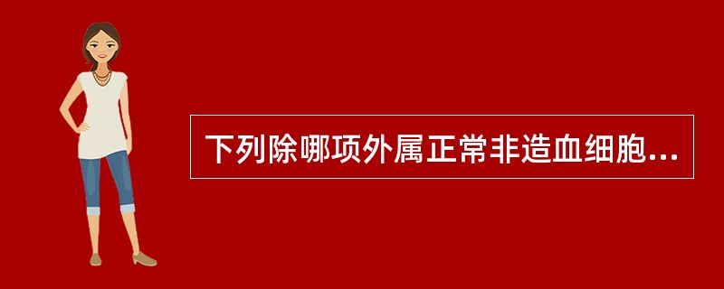 下列除哪项外属正常非造血细胞（）