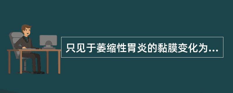 只见于萎缩性胃炎的黏膜变化为（）。