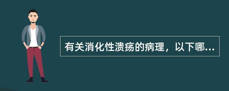 有关消化性溃疡的病理，以下哪种不正确（）。