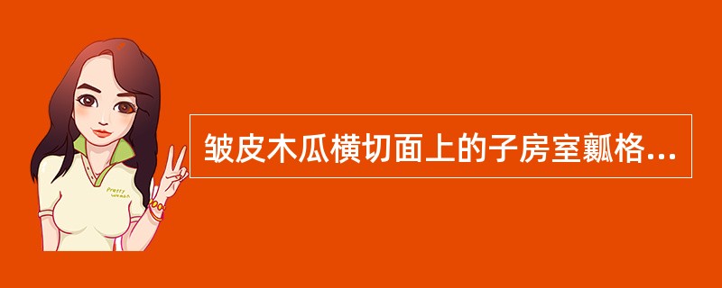 皱皮木瓜横切面上的子房室瓤格称为（）