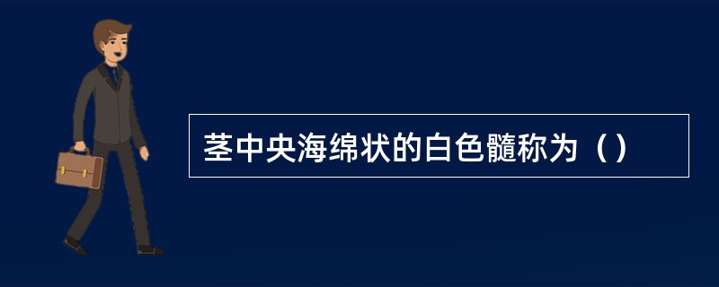 茎中央海绵状的白色髓称为（）