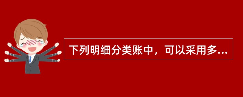 下列明细分类账中，可以采用多栏式格式的是（）。