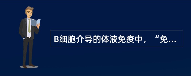 B细胞介导的体液免疫中，“免疫应答最终效应是将侵入机体的非已细胞或分子加以清除”