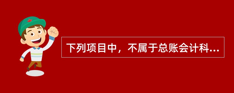 下列项目中，不属于总账会计科目的有（）。