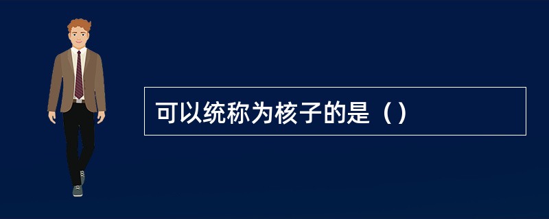 可以统称为核子的是（）