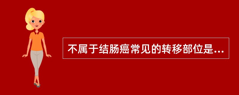 不属于结肠癌常见的转移部位是（）。