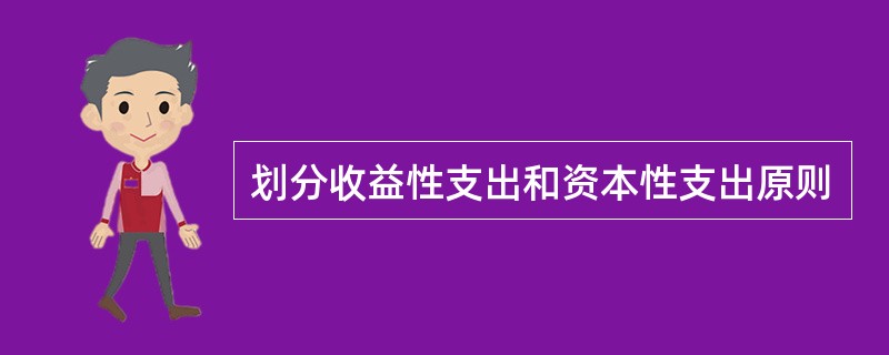 划分收益性支出和资本性支出原则