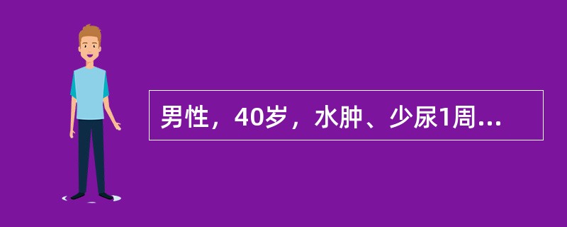 男性，40岁，水肿、少尿1周，BP160／100mmHg，尿蛋白定量2g／24h