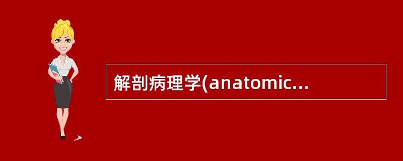 解剖病理学(anatomical-pathology)