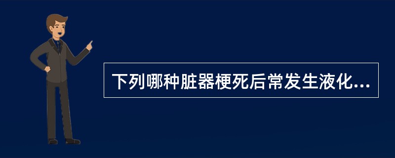 下列哪种脏器梗死后常发生液化性坏死（）。